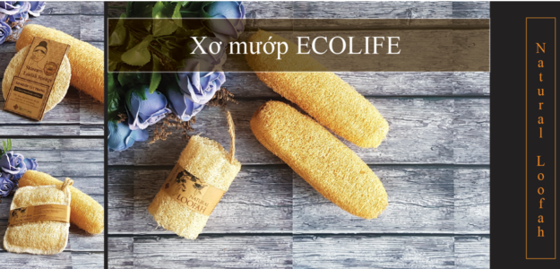 Ecolife