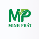 Minh Phát