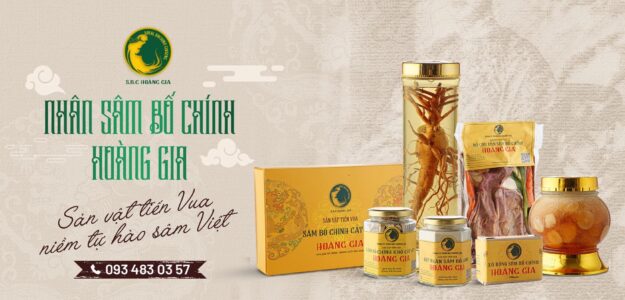 Sâm Bố Chính Hoàng Gia